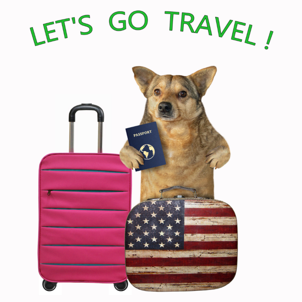 Services RockStar Pets